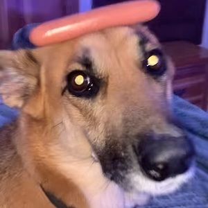 Meet your Posher, Mason